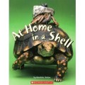 8 AT HOME IN A SHELL