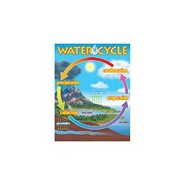 T-38119 WATER CYCLE CHART