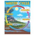 WATER CYCLE CHART