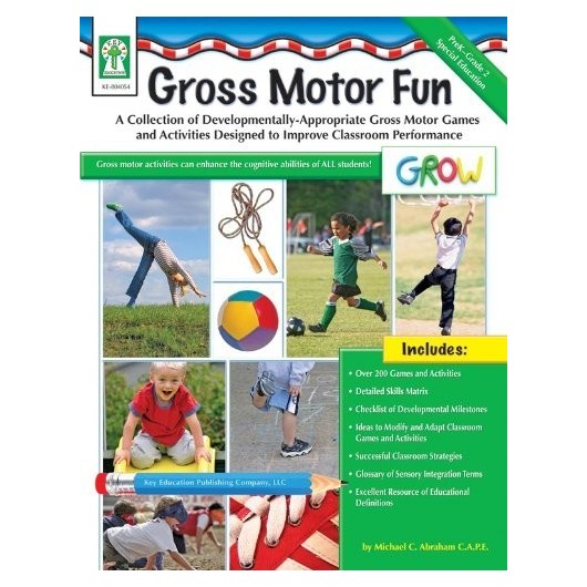 GROSS MOTOR FUN BOOK