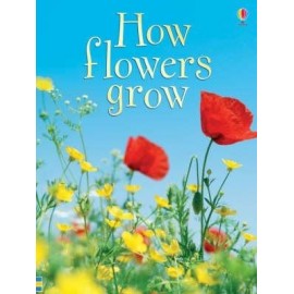 HOW FLOWERS GROW BEGINNERS