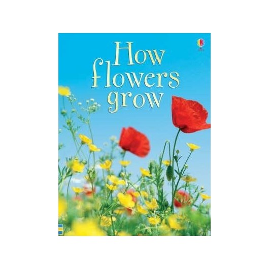 HOW FLOWERS GROW BEGINNERS