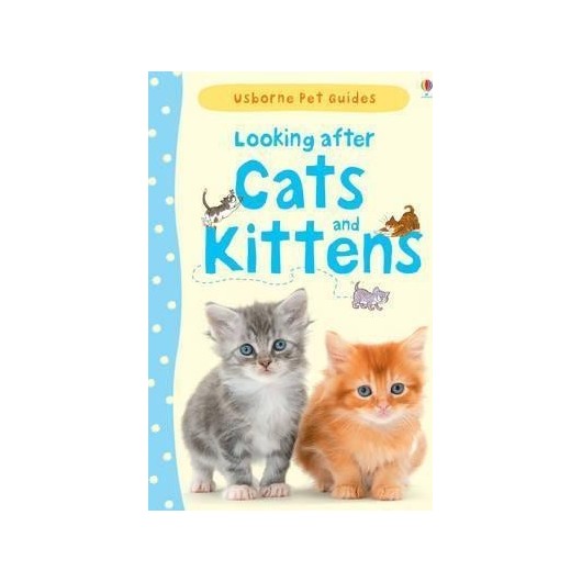 LOOKING AFTER CATS AND KITTENS