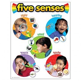 T38051 Five Senses Learning Chart
